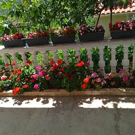 Mia דירה Grebaštica